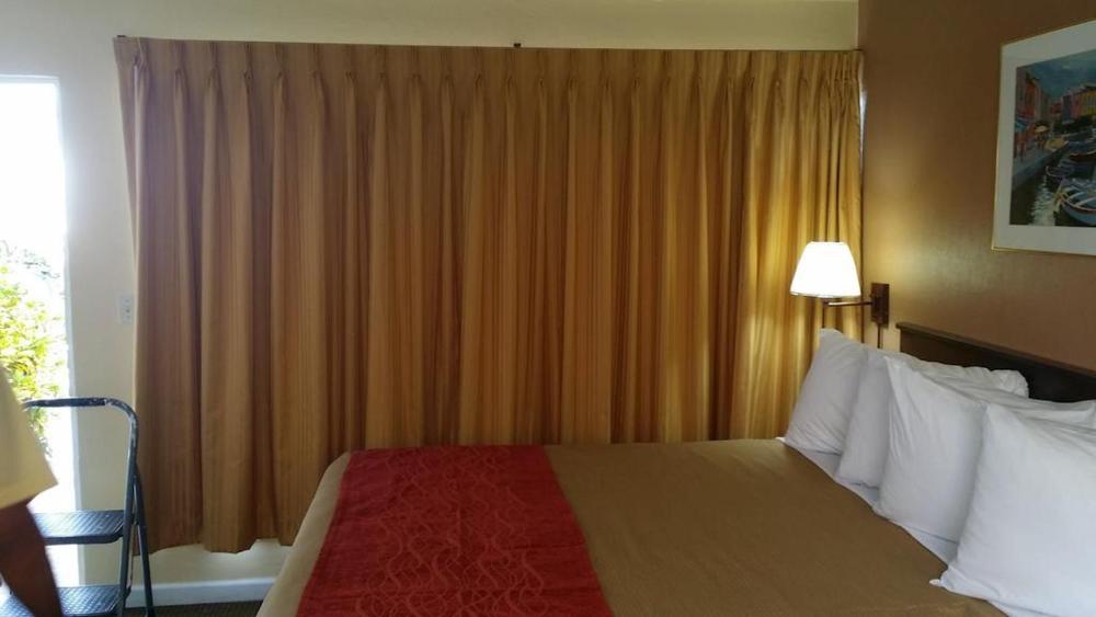 Queen Room - Disability Access interior
